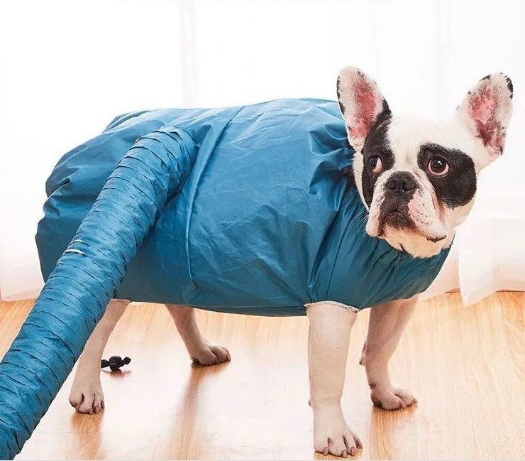 Dog Drying Bag