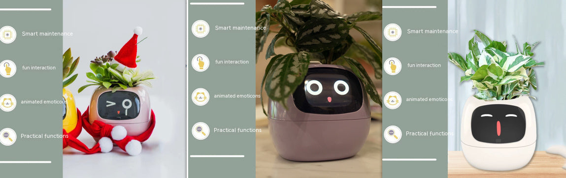 Smart Robot Planter