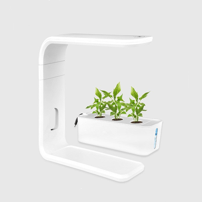 Indoor Vegetable Planter