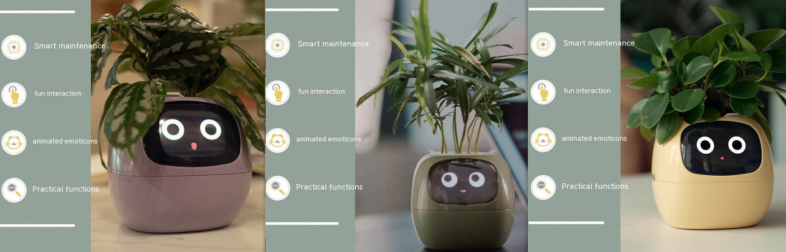 Smart Robot Planter