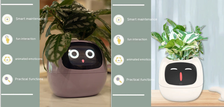 Smart Robot Planter