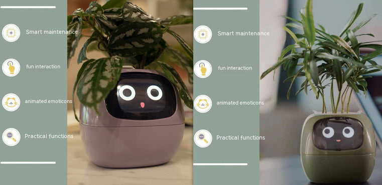 Smart Robot Planter