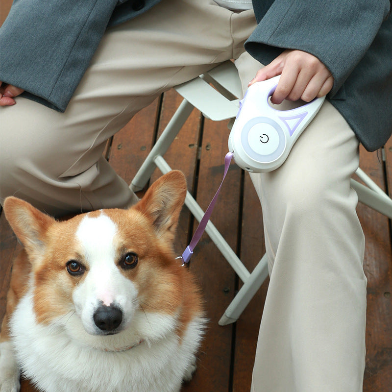 Retractable Leash Collar
