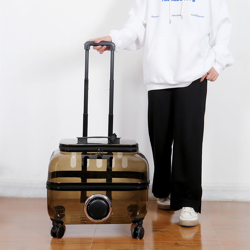 Portable Cat Trolley