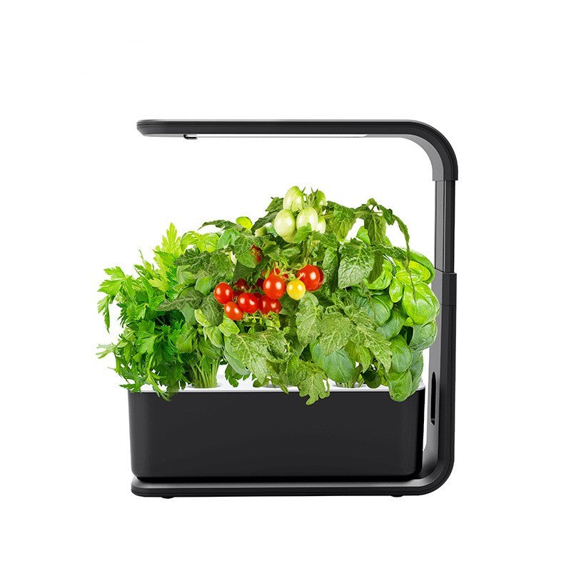 Indoor Vegetable Planter